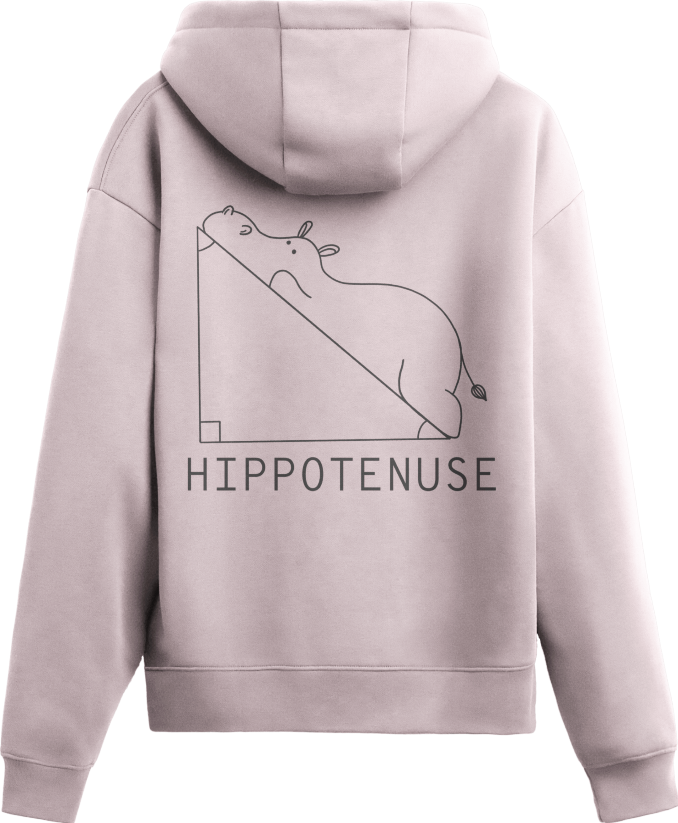 Hippotenuse Oversized Hoodie
